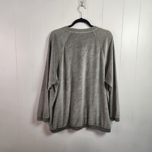 Aerie Gray Velour Oversized Sweatshirt Raglan Womens Size Medium Loungewear - Picture 3 of 4